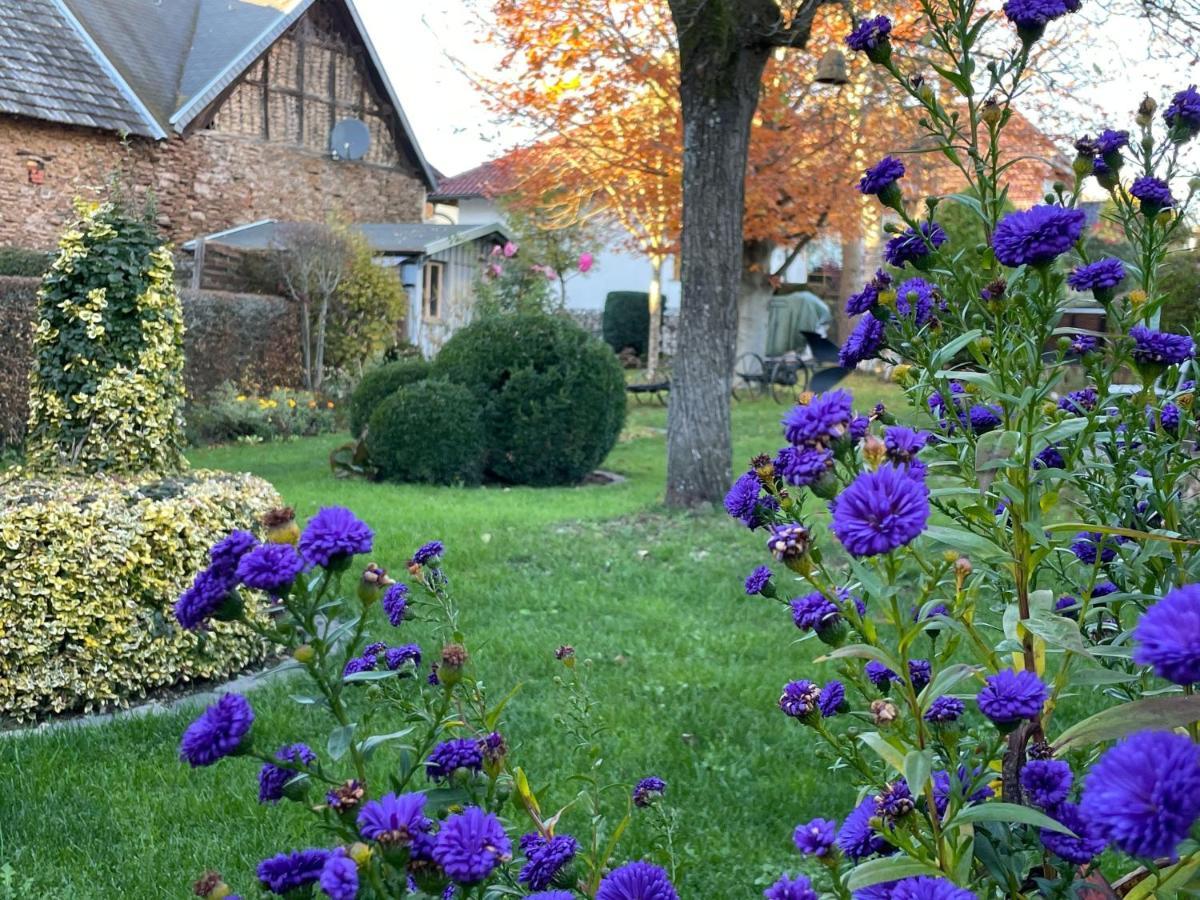 Haus-Hoeppches Blankenheim  Luaran gambar